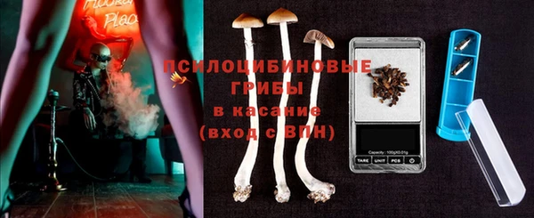 дживик Абаза