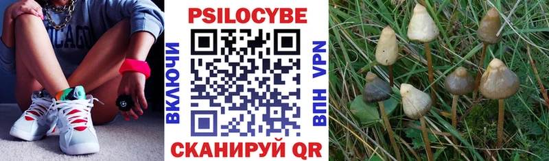 Псилоцибиновые грибы ЛСД  даркнет сайт  Ясный 